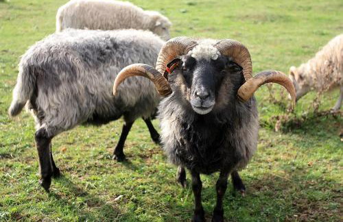 Dom wakacyjny w Kiersztanowie Ładnie Tu - Foto 57