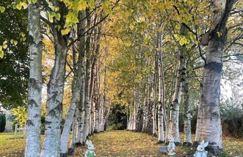 3 Bed in Ilminster oc-77987 - Foto 23