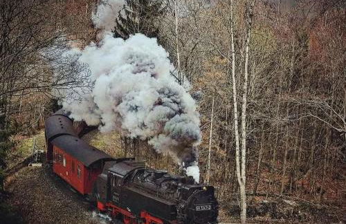 Waldgeflüster - Photo 19