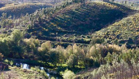 Moinho da Fadagosa - Foto 4, Garden, Garden view