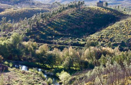 Moinho da Fadagosa - Foto 4