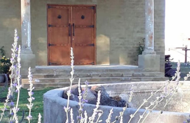 Perdehoek Venue - Foto 11