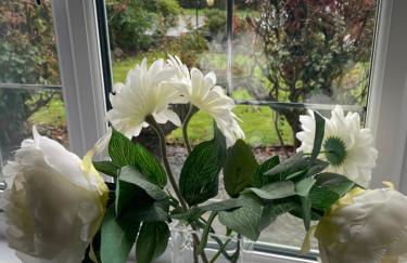 Carreg Yr Onnen - Photo 6