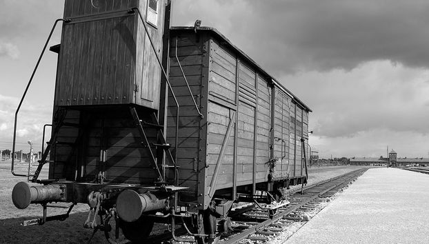 Visite guidée d'Auschwitz Birkenau avec transfert privé - Photo 4