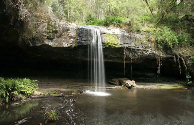 Whispering Gums Lorne Ocean Views Pet Friendly EV Charger - Photo 35