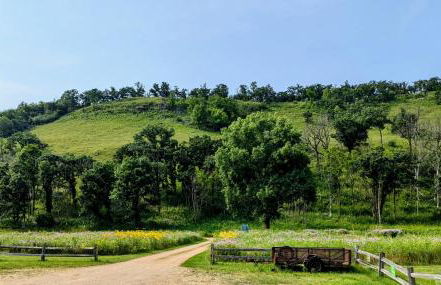 The Cottage at Journey Inn - Foto 23