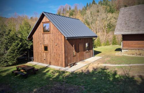 Domek w Bieszczadach Mchawa 144 - Foto 1