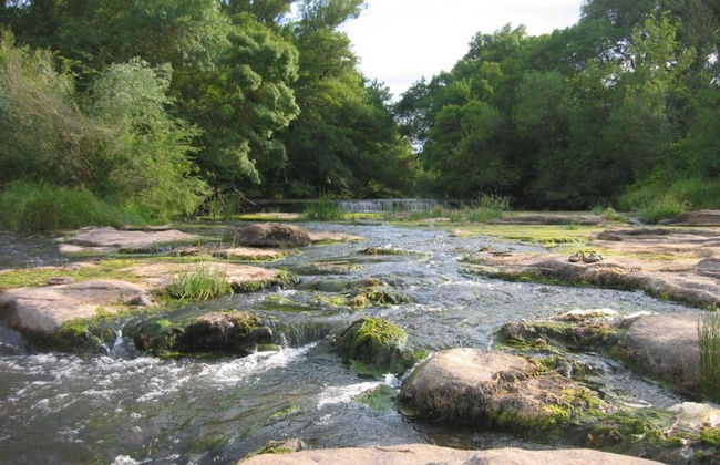 Villa in Vidauban With Pool & Vineyards Nearby - Foto 26