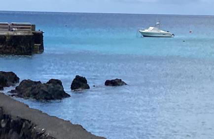 Eterna Primavera, a 40m de la piscina natural - Foto 39