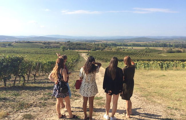 Tour privato di un giorno: Lastours, degustazione di vini, Minerve, Canal du Midi da Carcassonne - Foto 12