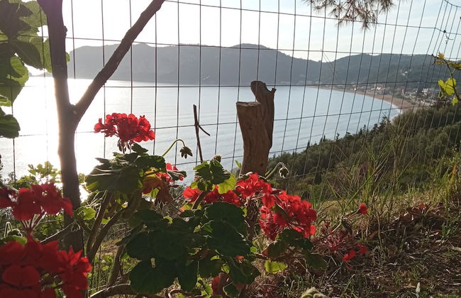 Agios Georgios - 2 Beds - Sleeps 5 - Free Parking - Foto 28