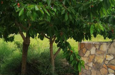 Villa Legacy - Foto 53