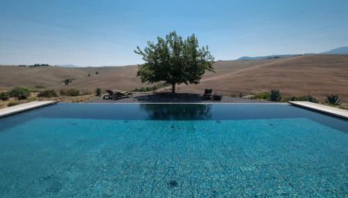 Podere San Pasquale - La Vigna - Foto 4