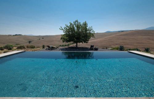 Podere San Pasquale - La Vigna - Foto 4