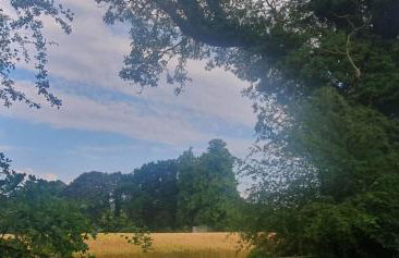 Church House Hut - Foto 31