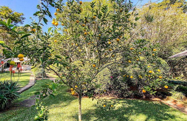 Chácara Espetacular em Ibiúna - Photo 33