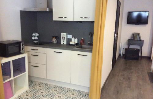 Villa du jardin des plantes 56 Rue Prémartine - Foto 4