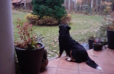 Villa Stare Osieczno - Foto 53