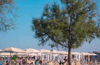 Pomposa Residence - Foto 43