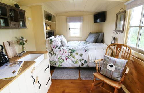 Moor Skies - Foto 12