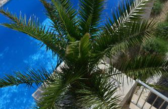 Villa Mar - 50m To The Beach - Foto 16