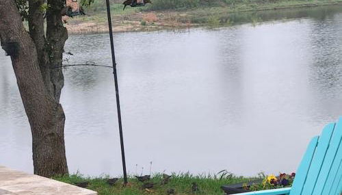 Honey Farms - Foto 5