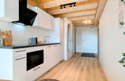 Velaris - Stilvolle Lofts & Penthouses - Premium Wohnen mit Parkplatz & Workstations - Foto 60
