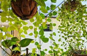 Ôxente que lugar arretado! - Photo 18