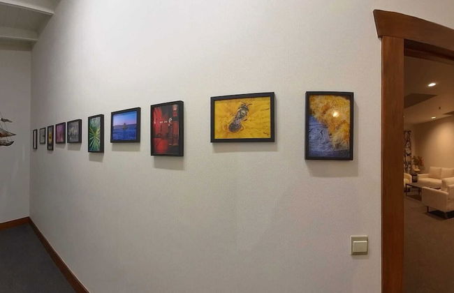 Magnolia Park - Photo 5