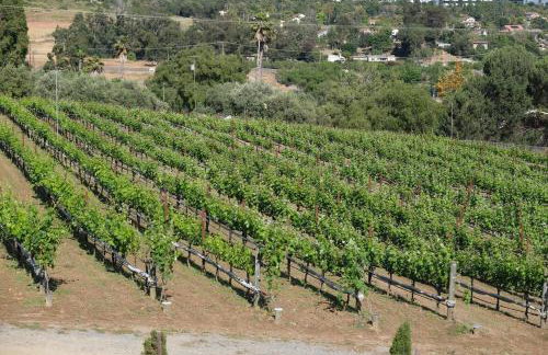 Casita Vino Dog-Friendly Vineyard Retreat & Stay - Photo 13