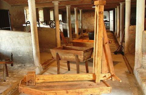 Agriturismo Albero del Latte - Foto 40