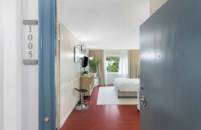 Elektra Muse Studio - Foto 1