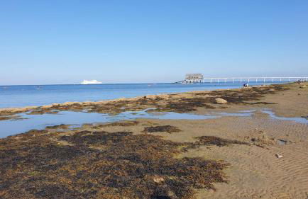 Sunnyside - Photo 26