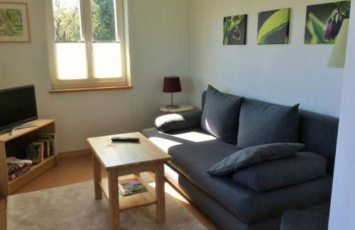 Am Kräutergarten - Foto 20