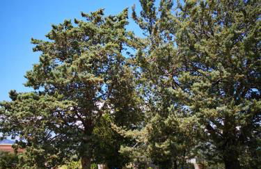 Villa Walter - Foto 26