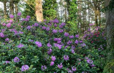 Domaine des Quatre Vents - Foto 63