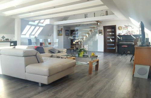 Apartamenty Holiday Slaw jacuzzi bilard - Foto 58