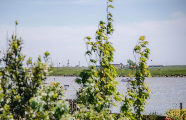 Shallow End, Orford - Photo 13