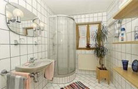 Ferienwohnungen Lusenblick - Foto 5