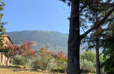 Casale Ugo e Letizia - Foto 43