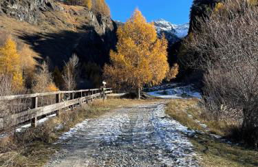 Casa Grailè - Alpine apartment in Valtellina - Photo 19