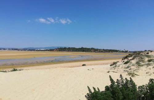 Dunas Mar - Foto 39