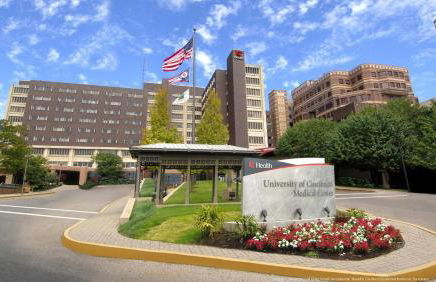 Spacious Industrial split level with a Balcony - Photo 21