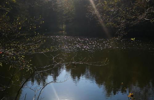 Ferienhaus Waltersdorf - Foto 20