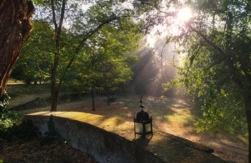 Il Bosco del Lebbio - Foto 13