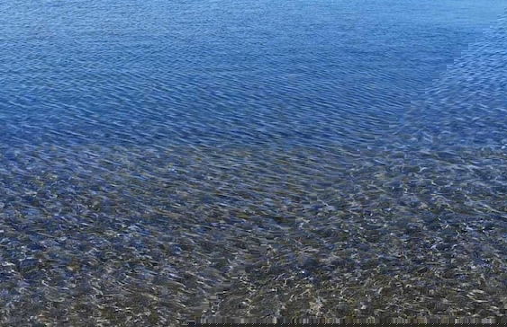 The White House on the sea - Foto 20