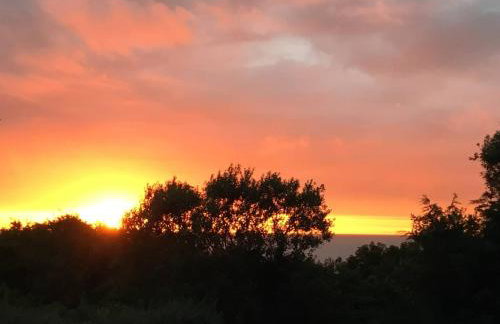 Private, Modern and Detached Garden Apartment - Photo 24