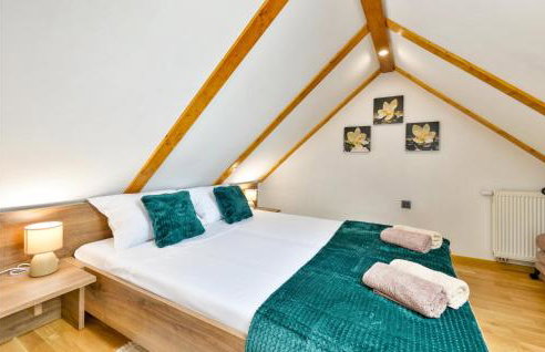 Nice Home In Nova Diklenica With Sauna - Foto 30