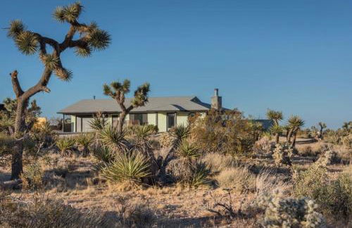 Yucca Hut - Design Forward Oasis Near Joshua Tree - Foto 45