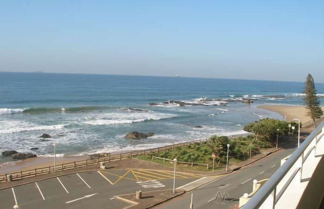 Lazy Lizard - Foto 25